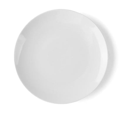 grosser-teller-Porzellan-27cm-flach-ohne-Rand-mit-logo